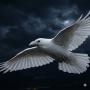 whiteraven