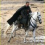 Robin_Hood