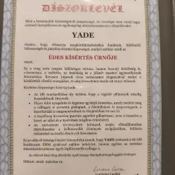 Yade erotikus masszázs Budapest, XI. kerület